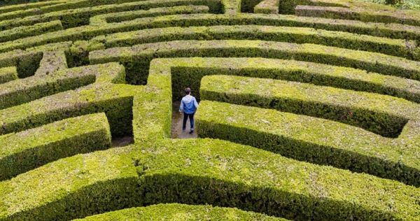 Πώς το GPS του εγκεφάλου χαρτογραφεί τον χώρο