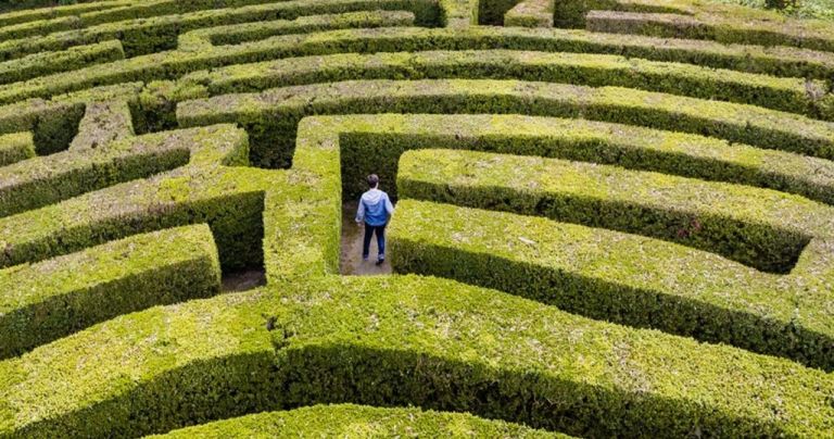 Πώς το GPS του εγκεφάλου χαρτογραφεί τον χώρο