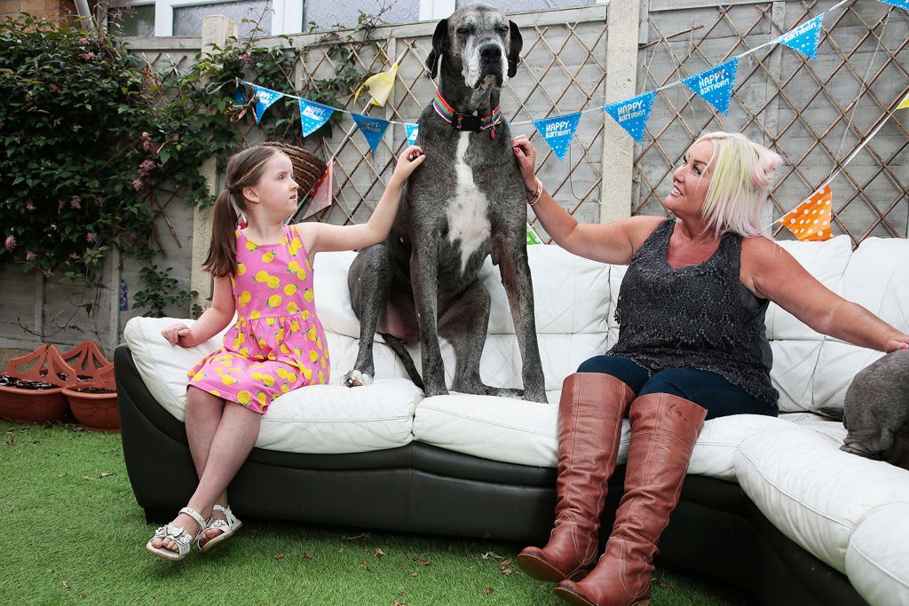 Αγγλία : Πέθανε ο Freddy, ο ψηλότερος σκύλος στον κόσμο