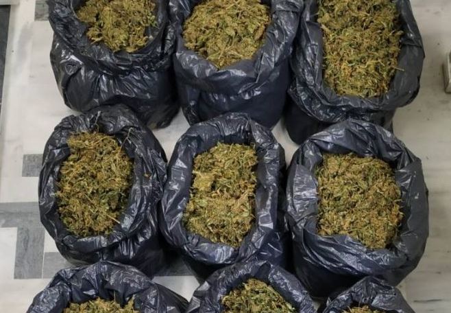 Σπάρτη : Βρέθηκαν 60 κιλά κάνναβης σε σπηλιά