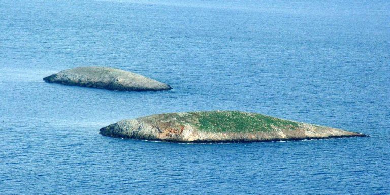 31 Ιανουαρίου 1996 : Ημέρα μνήμης και οδύνης για τις ελληνικές ένοπλες δυνάμεις