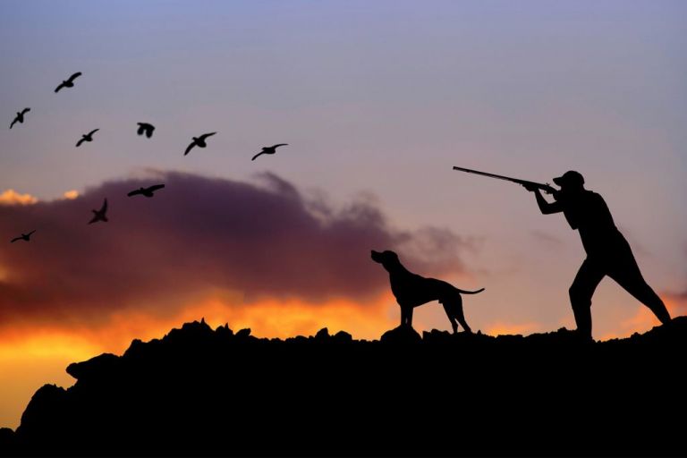 Κυνήγι : 400.000 όπλα σπέρνουν τον θάνατο κάθε χρόνο σε γη και ουρανό