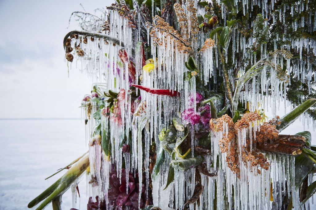 Τα μαγευτικά παγωμένα άνθη του Ιάπωνα καλλιτέχνη Azuma Makoto