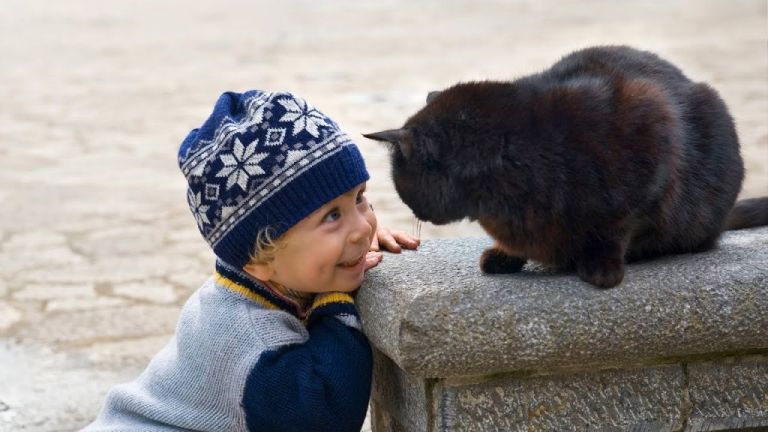 Γάτα προστατεύει μωρό που προσπαθεί να σκαρφαλώσει στο μπαλκόνι