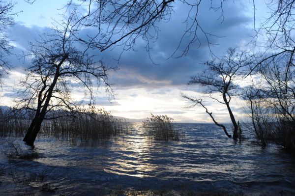 Τριχωνίδα : Ένα θέαμα συναρπαστικό