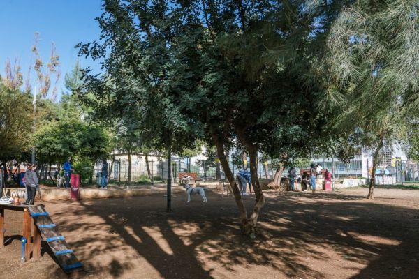 Το πρώτο πάρκο αποκλειστικά για σκύλους άνοιξε στη Νέα Σμύρνη