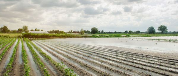 Σέρρες: Διαδικασία δήλωσης ζημιών και αποζημίωσης από τις πλημμύρες