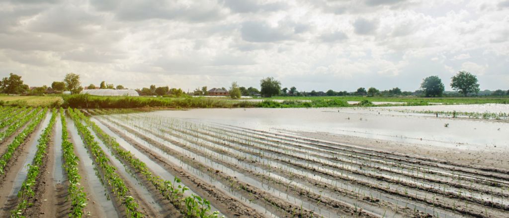 Σέρρες: Διαδικασία δήλωσης ζημιών και αποζημίωσης από τις πλημμύρες