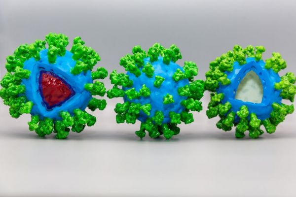 Covid-19 : H ανοσία δείχνει να διαρκεί τουλάχιστον 8 μήνες