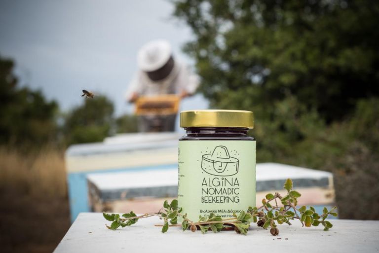 Στη γλώσσα των Βλάχων η μέλισσα λέγεται… Algina