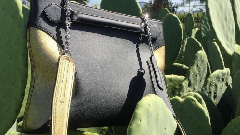 Η νέα τάση είναι δέρμα από κάκτο και έρχεται από Μεξικό