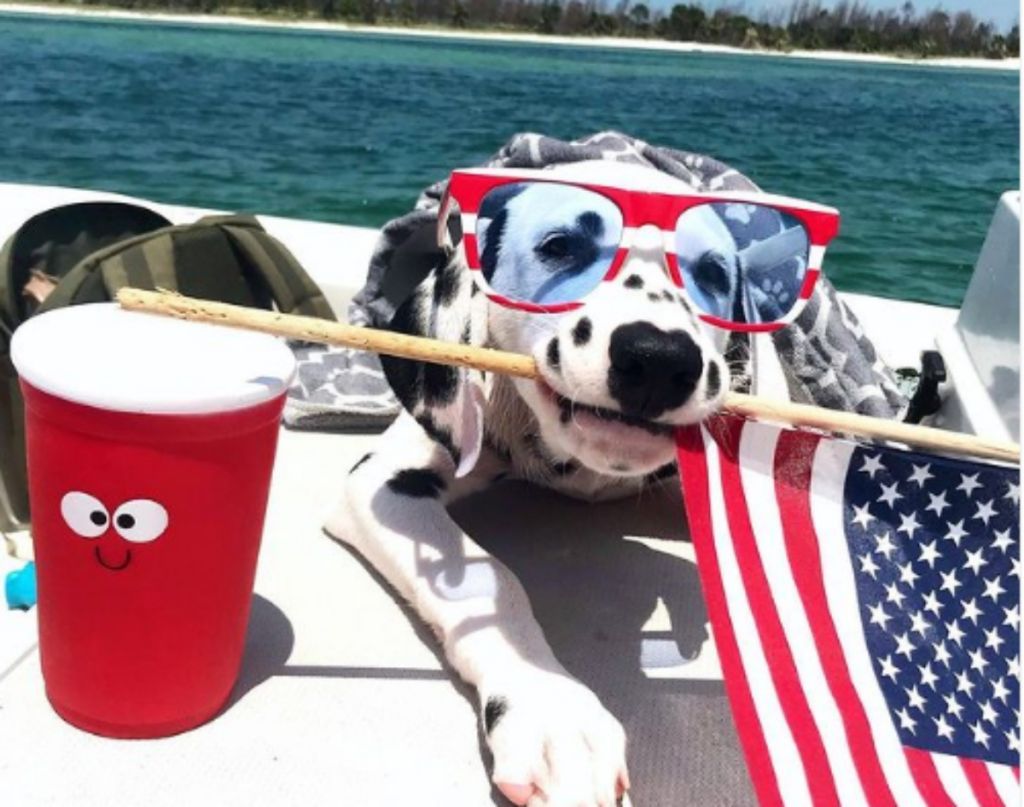 Τα πιο δημοφιλή ονόματα κατοικίδιων ζώων της Αμερικής τα τελευταία 100 χρόνια