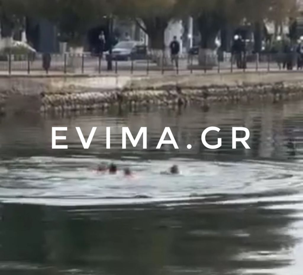 Εύβοια : Η στιγμή της πτώσης του νεαρού στα νερά της Αμαρύνθου – Νοσηλεύεται σε σοβαρή κατάσταση
