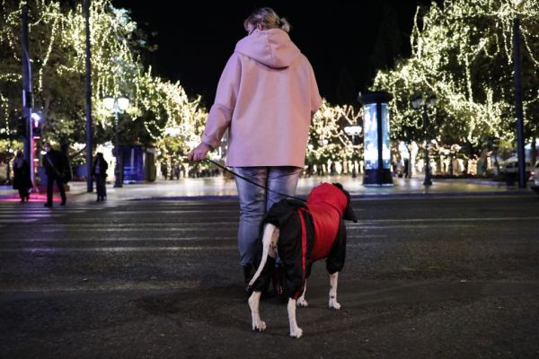 Κοροναϊός – Τσακρής : Δύσκολοι οι επόμενοι μήνες – Οι χαμηλές θερμοκρασίες βοηθούν στη μεταδοτικότητα