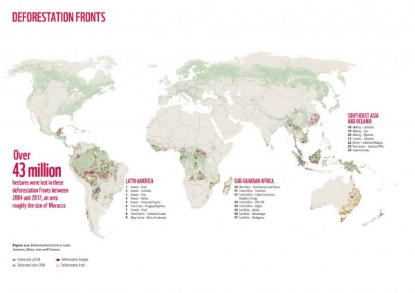 WWF: 430 εκατ. στρέμματα δασών χάθηκαν σε 13 χρόνια – Έκταση διπλάσια από το Ηνωμένο Βασίλειο