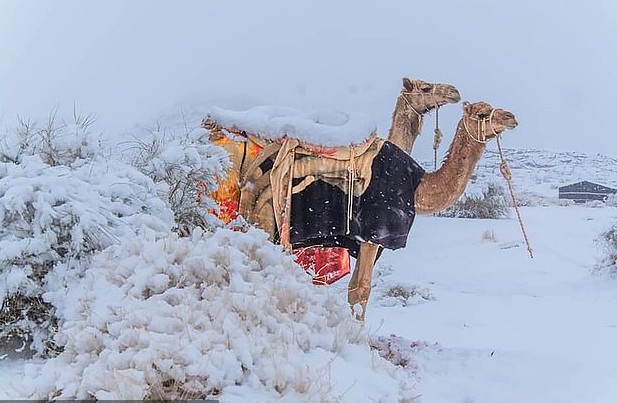 Καιρός : Χιόνισε στη Σαχάρα – Στους μείον 2 βαθμούς η θερμοκρασία στη Σαουδική Αραβία [εικόνες]