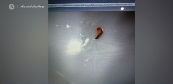 Κιάτο: Με σκουλήκια και… σαλμονέλα το νερό – Δύο παιδιά στο νοσοκομείο