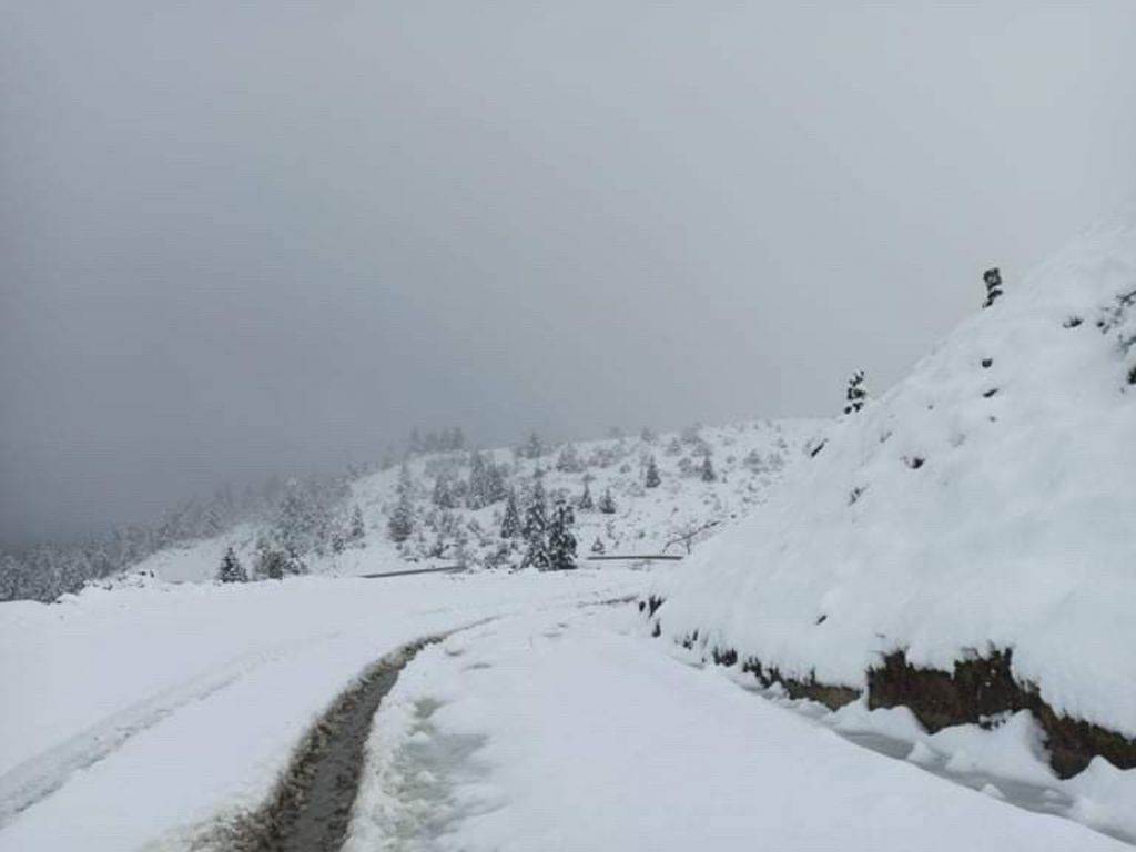 Κακοκαιρία «Λέανδρος» : Δεν θα ντυθεί στα λευκά το… Σύνταγμα – Κλειστά σχολεία σε όλη τη χώρα