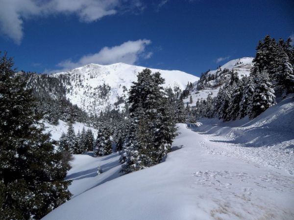 Παρνασσός : Ταξιδέψτε νοητά στις 3 χιονισμένες κορυφές του