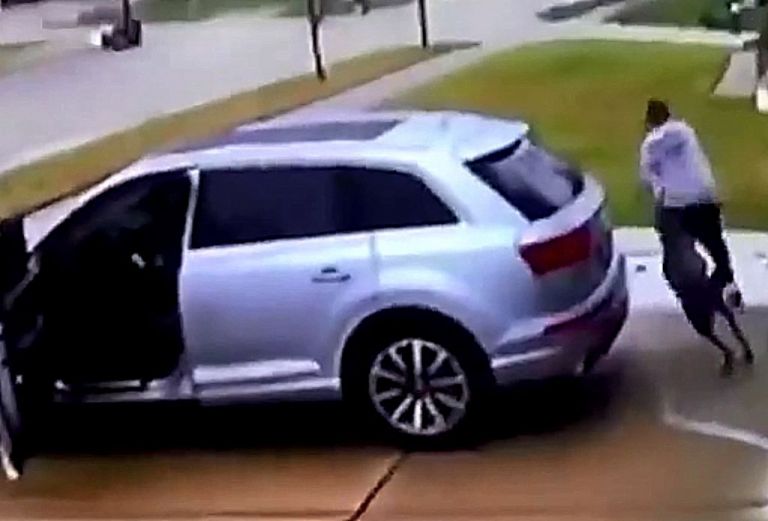 Αυτός ο σκύλος έγινε viral όταν κυνήγησε κάποιον νομίζοντας ότι είναι κλέφτης