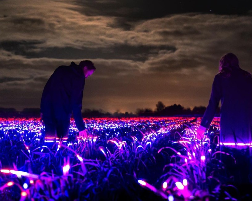 «Grow»: Ένα εντυπωσιακό installation για την ομορφιά της γεωργίας