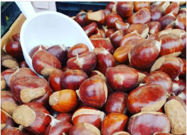 Κάστανα : Το ιδανικό σνακ για τις κρύες μέρες του χειμώνα και της δίαιτας σας