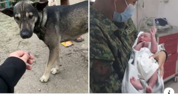 Σκύλος οδηγεί μοτοσικλετιστή σε σημείο που υπάρχει εγκαταλελειμμένο μωρό με το γάβγισμα του