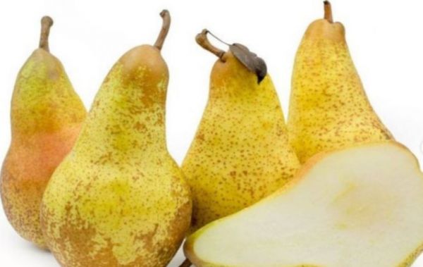 Αχλάδια : Τα φρούτα που συμβάλλουν θετικά  στην υγεία μας