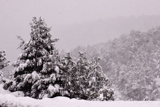 Καιρός – «Μήδεια» : Έρχεται ένας από τους ισχυρότερους χιονιάδες της τελευταίας 15ετίας