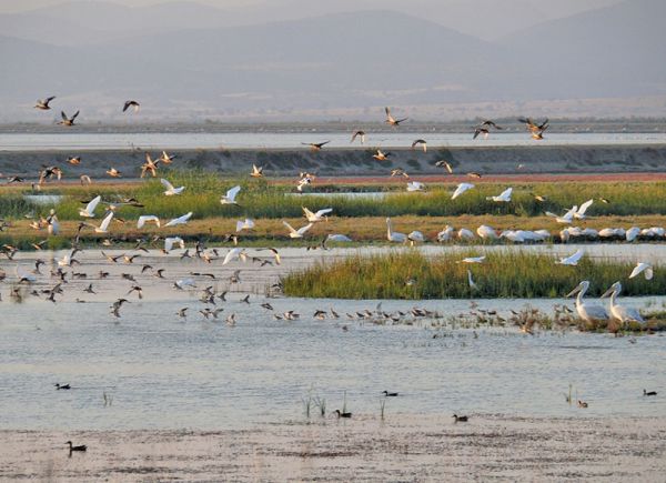 Υγρότοποι: Η Μεσόγειος διαθέτει 34 από τα πιο σημαντικά «hotspot» βιολογικής ποικιλομορφίας παγκοσμίως