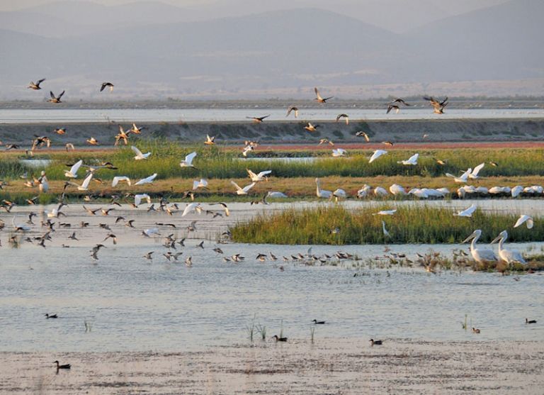 Υγρότοποι: Η Μεσόγειος διαθέτει 34 από τα πιο σημαντικά «hotspot» βιολογικής ποικιλομορφίας παγκοσμίως
