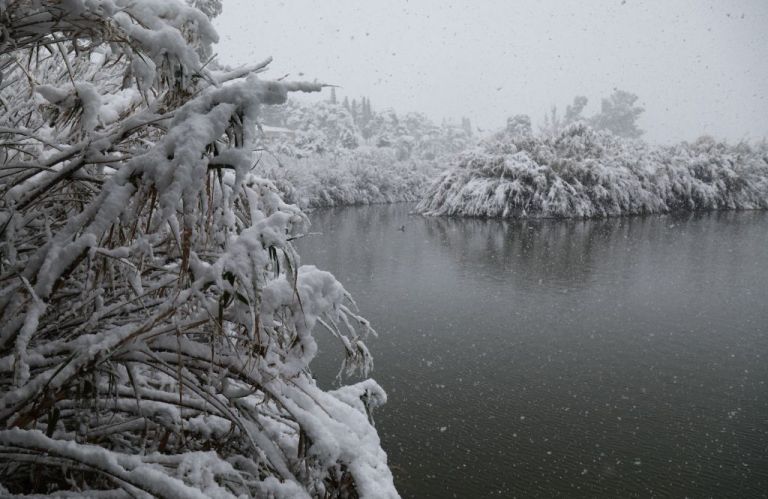 Μήδεια : Νεκρός 80χρονος από την κακοκαιρία στην Εύβοια