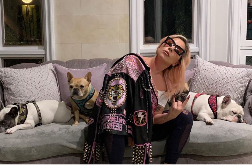 Lady Gaga: Βρέθηκαν τα σκυλιά της μετά την αμοιβή που προσέφερε