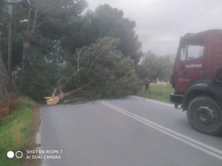 Στο έλεος των ισχυρών νοτιάδων η Λέσβος