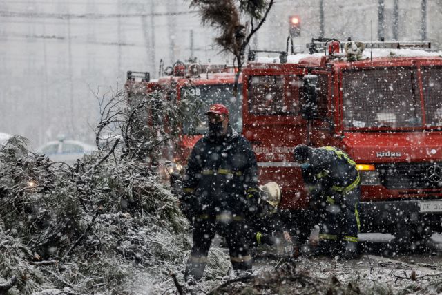 Βορίδης : Ευθύνη των ΟΤΑ η κοπή των δέντρων – Τι είπε για τις διακοπές ρεύματος
