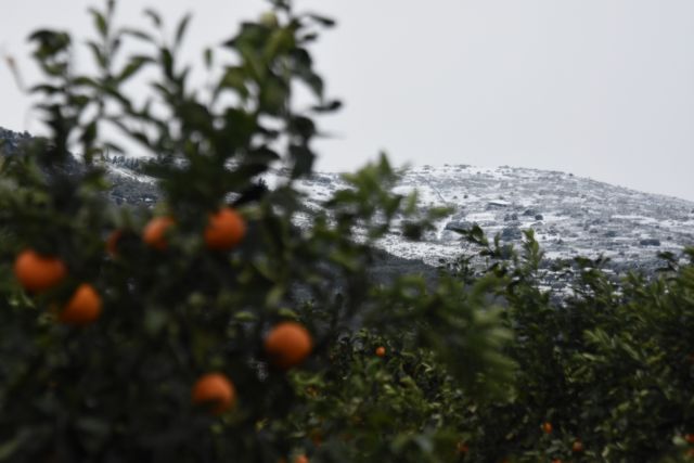 Σε επιφυλακή ο κρατικός μηχανισμός ενόψει «Μήδειας» – Στην κατάψυξη μπαίνει η χώρα