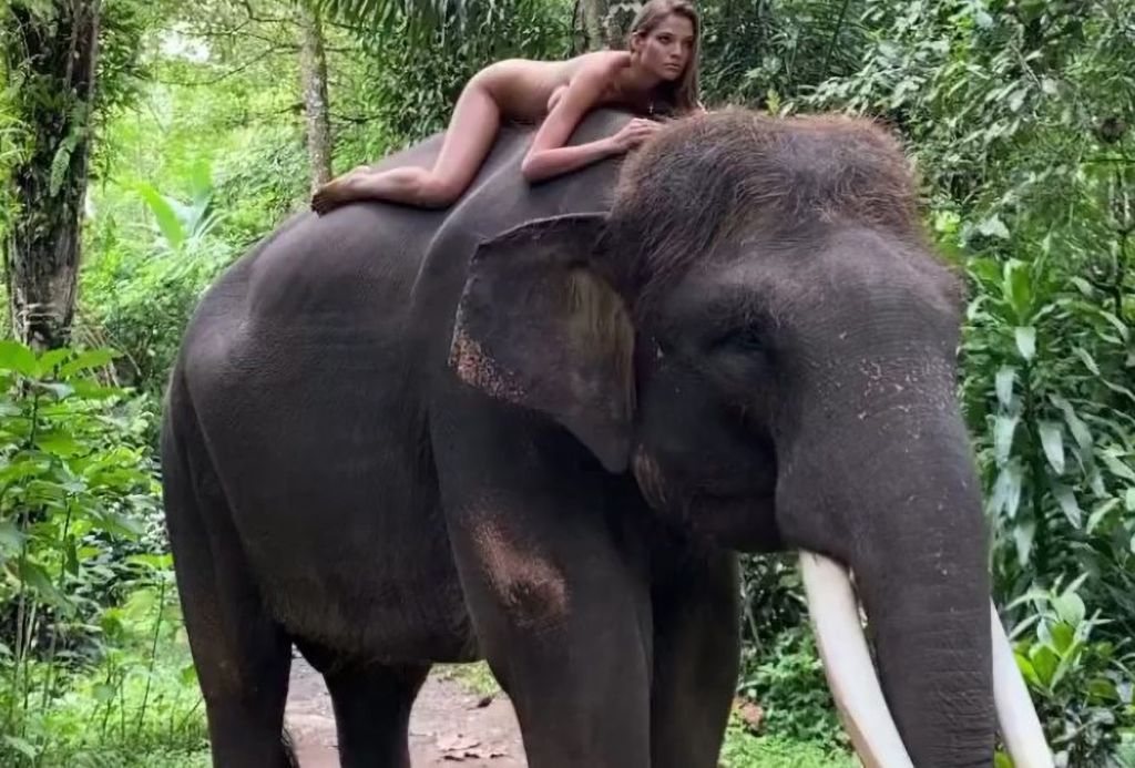 Σάλος με τη Ρωσίδα influencer που πόζαρε γυμνή πάνω σε απειλούμενο είδος ελέφαντα