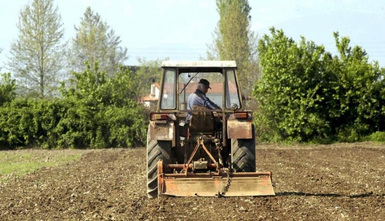 Αραμπατζή: Στήριξη σε όλους τους αγρότες που επλήγησαν από τον κοροναϊό