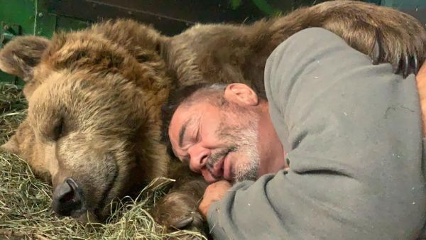 Αρκούδα δίνει τρυφερή αγκαλιά σε άντρα – Δείτε το βίντεο