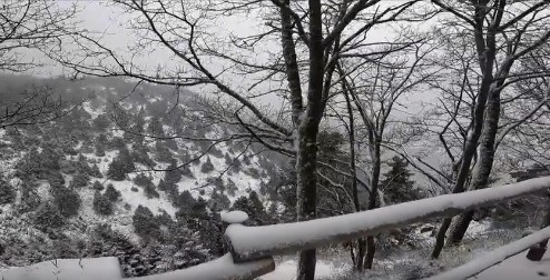Μήδεια: Live εικόνα από το χιονισμένο Μπάφι – Διεκόπη η κυκλοφορία στη λεωφόρο Πάρνηθος