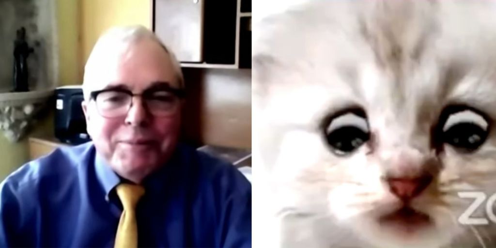 Zoom: Ο viral δικηγόρος που «δεν είναι γάτα» μίλησε για όσα έγιναν