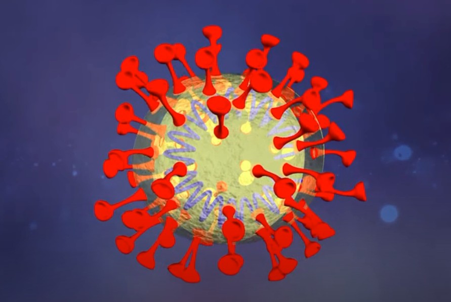 Κοροναϊός : Όλα όσα πρέπει να γνωρίζετε για τον ιό - Το πρώτο 3D ελληνικό ντοκιμαντέρ