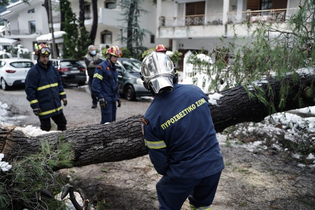 «Η καθημερινότητα, ηλίθιε»