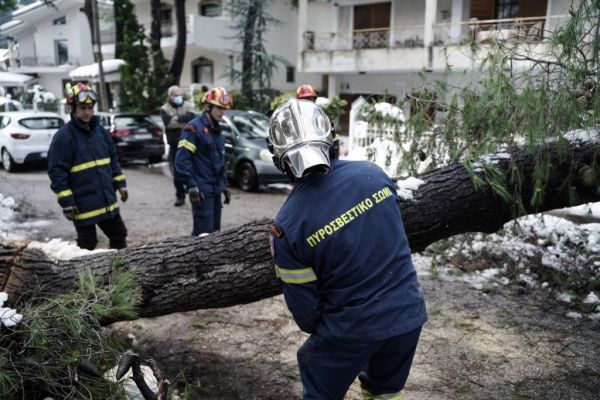 «Η καθημερινότητα, ηλίθιε»