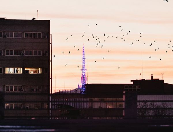 Αυτά είναι τα πόστερ του 23ου Φεστιβάλ Ντοκιμαντέρ Θεσσαλονίκης