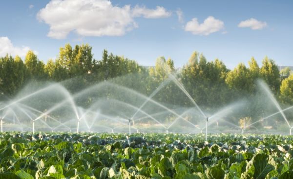 Παλαμάς: Νέο έργο για την άρδευση 22.000 στρεμμάτων αγροτικής γης