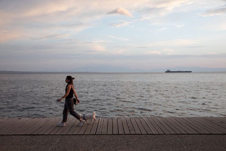 Θεσσαλονίκη : «Υπηρεσία περιπάτου για ζώα συντροφιάς» συγκρότησε ο Ελληνικός Ερυθρός Σταυρός