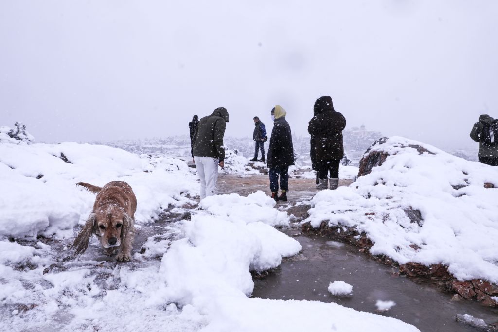 Μήδεια: Viral στιγμές από την ιστορική κακοκαιρία που πλήττει την Ελλάδα