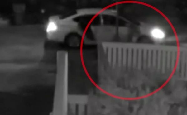 Lady Gaga : Δίνει μισό εκατομμύριο δολάρια για να βρεθούν τα σκυλιά της