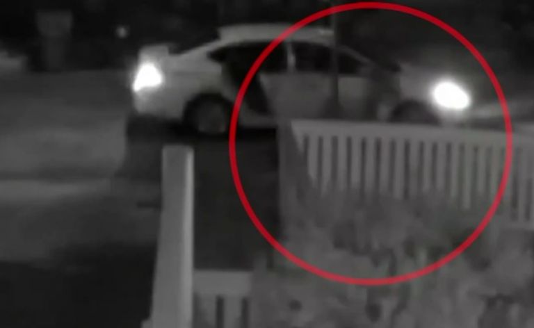 Lady Gaga : Δίνει μισό εκατομμύριο δολάρια για να βρεθούν τα σκυλιά της